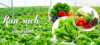 (HỘ KINH DOANH) TRẦN VĂN XUÂN EM